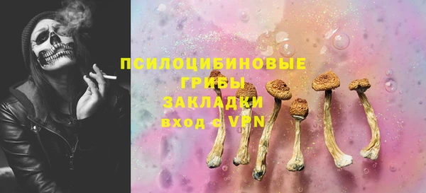 PSILOCYBIN Балабаново